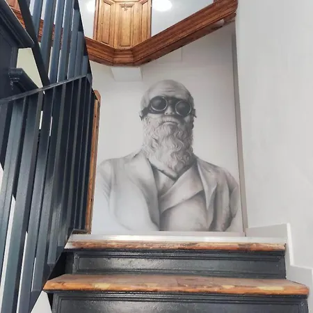 Kamienica Centrum Nr 15 * Στσέτσιν