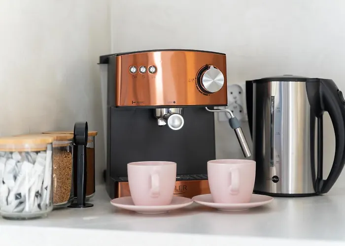 Kamienica Centrum Nr 15 * シュチェチン