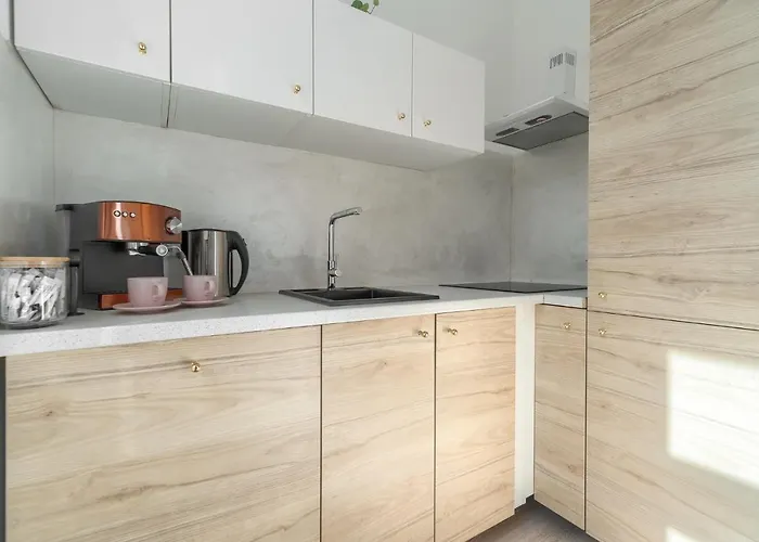 Kamienica Centrum Nr 15 * シュチェチン